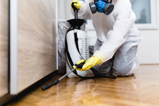 Best Pest Control for Businesses  in Indian Hills, TX