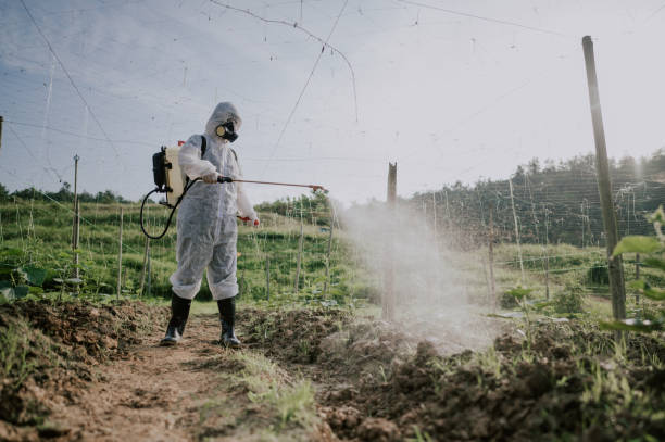 Best Mosquito Control Services  in Indian Hills, TX