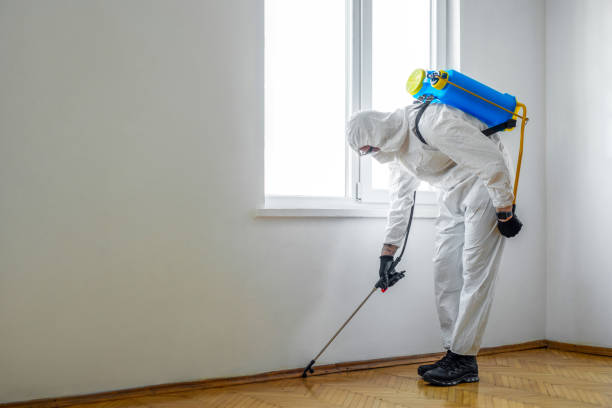 Best Best Pest Control Companies  in Indian Hills, TX