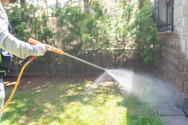 Best Rat Extermination Near Me  in Indian Hills, TX