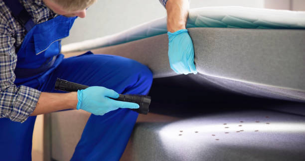 Best Emergency Pest Control  in Indian Hills, TX