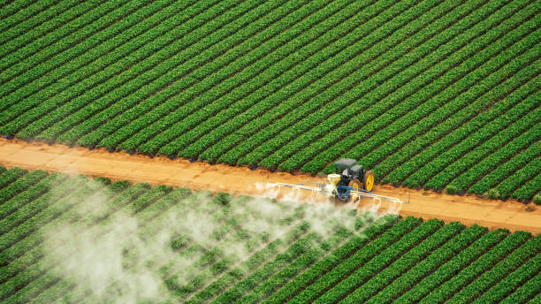 Best Pest Removal Services  in Indian Hills, TX